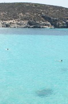 Filé de Porco Agridoce