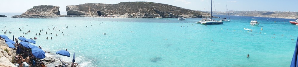 Filé de Porco Agridoce