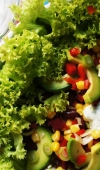 Southwestern Salad