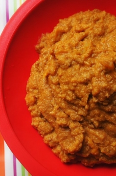 Purê de Carne de Panela para Bebê