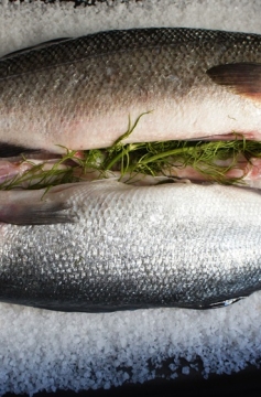 Receita de Peixe Assado no Sal Grosso