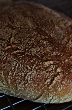 Receita de Pão Ciabatta II: o retorno