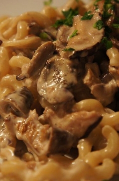 Receita de Massa com Molho Cremoso de Cogumelo
