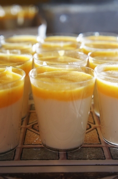 Receita de Panna Cotta de Poncã (Tangerina, Bergamota ou Mexerica)