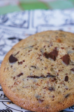 Receita de Cookie de Baunilha com Gotas de Chocolate (dicas para congelar)