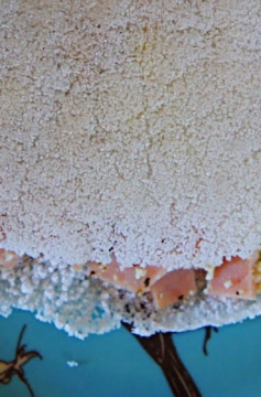 Receita de Tapioca com Recheio de Peito de Peru, Ricota e Oregano