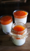 Receita de Panna Cotta de Iogurte Grego com Calda de Mamão