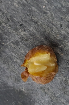 Receita de Batata Assada no Sal Grosso